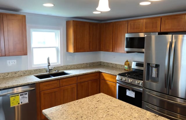 561 First St. - 561 1st Street, Grayslake, IL 60030
