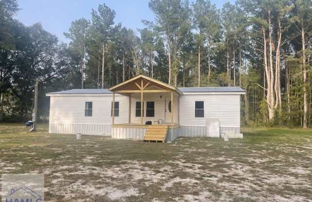 163 Wilds Road NE - 163 Wilds Road, Long County, GA 30427