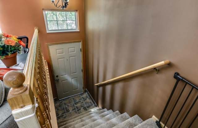 14564 Lockslie Trl Gallery 2