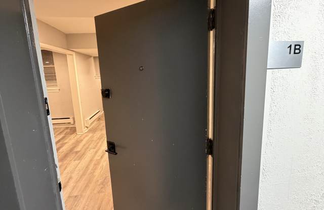 45-49 East Cliveden Street - 1B photos photos