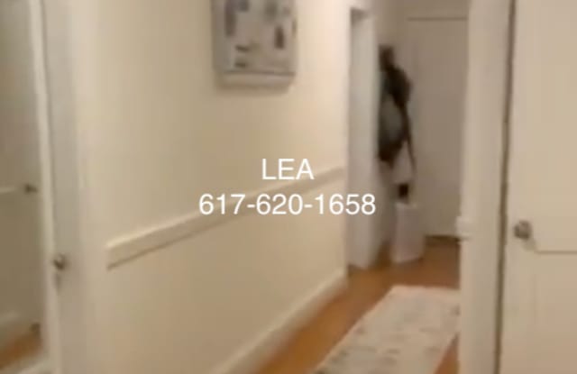 SEPT Incredible 2bed around Cleveland Circle - B/C/D line! - Cats ok! photos photos