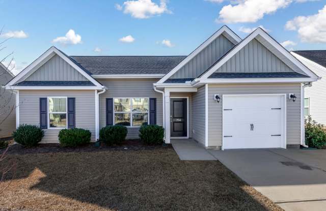 ONE STORY HOME IN DRAYTON HALL - 754 Lansford Bay Drive, Lexington County, SC 29172