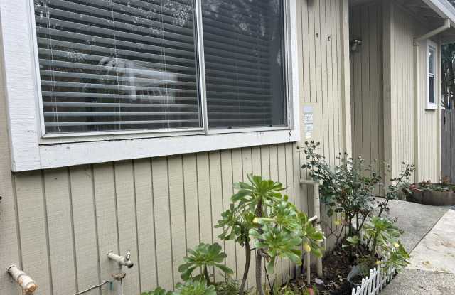 NB 463 photos photos