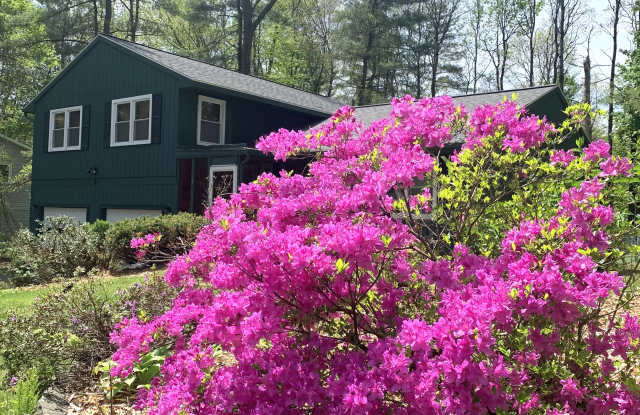 8 Elizabeth Lane photos photos