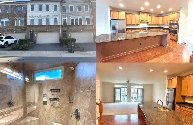42619 HARLOW MEADOWS TERRACE - 42619 Harlow Meadows Terrace, Arcola, VA 20166