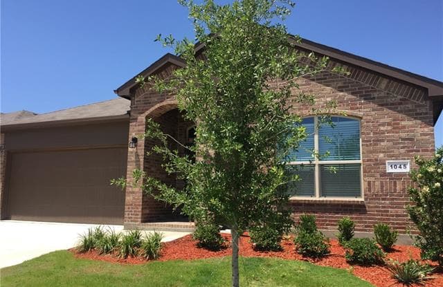 1045 Spanish Needle Trail - 1045 Spanish Needle Trl, Fort Worth, TX 76177