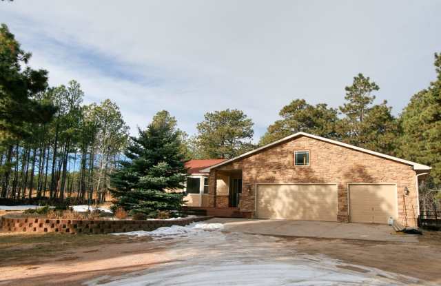 Beautifully Updated Black Forest Rancher on 5 Acres! photos photos Beautifully Updated Black Forest Rancher on 5 Acres! photos photos
