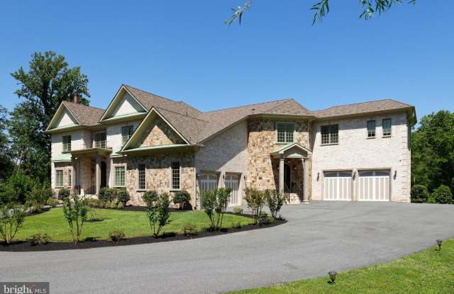 1005 WHITE CHIMNEY COURT Gallery 3