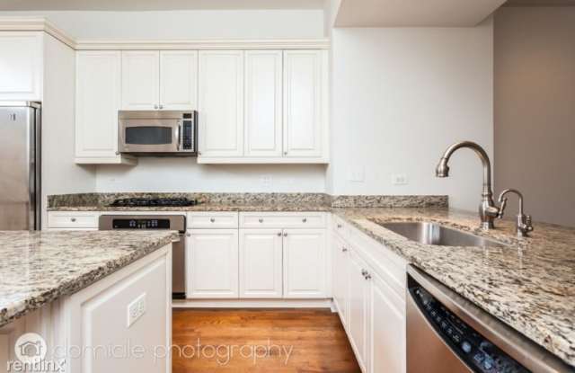732 W 15th St 1 - 732 W 15th St, Chicago, IL 60607