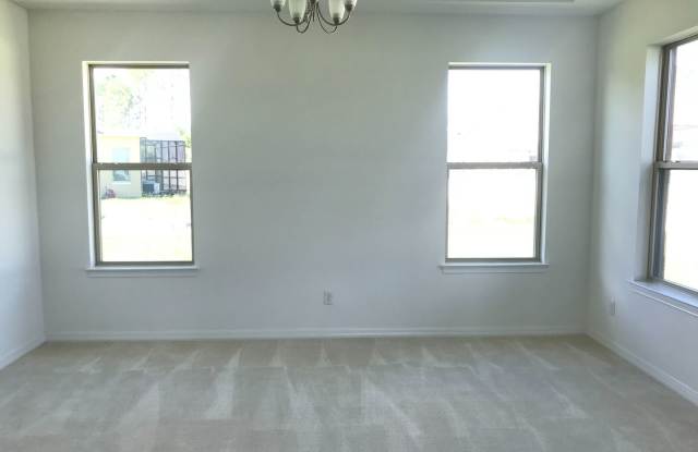 6878 Trellis Vine Loop Gallery 3