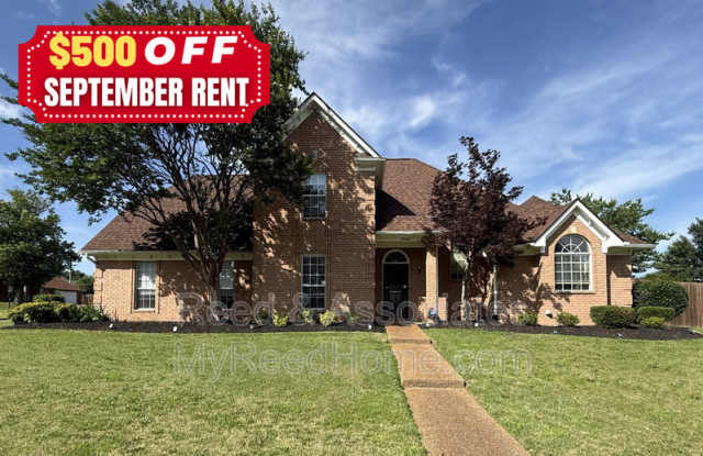 3066 Shadow Green Gallery 1