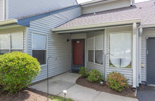167 Sunnymede Street Gallery 2