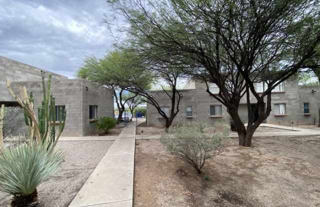 1250 East Manlove Street - 1250 East Manlove Street, Tucson, AZ 85719