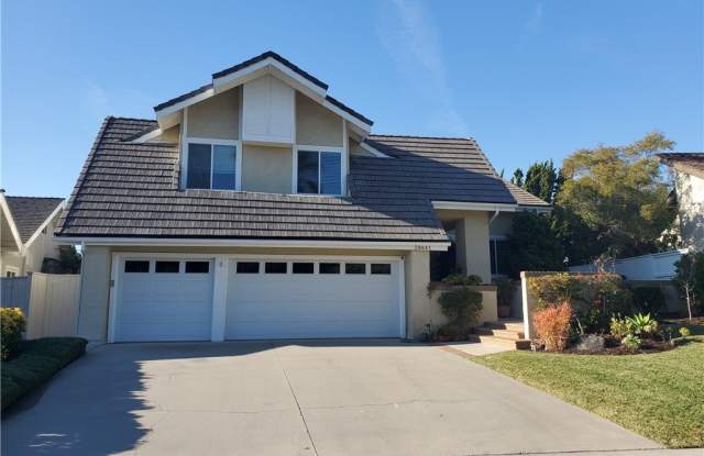 28641 Placida Avenue - 28641 Placida Avenue, Laguna Niguel, CA 92677