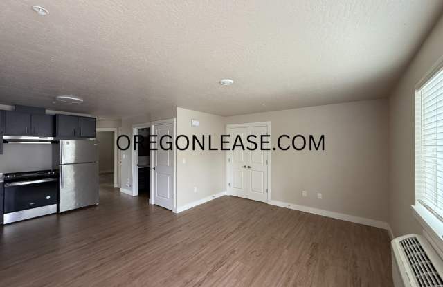 Newer 2-Bedroom Apartment Gallery 2