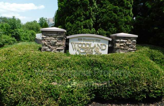 152 Cardinal Way - 152 Cardinal Way, Lewisburg, WV 24901