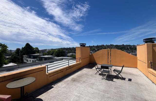 Belvedere Gallery 3