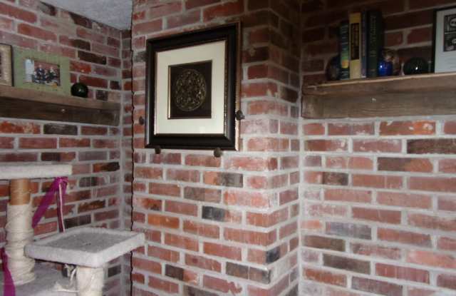 Single level pet friendly home photos photos