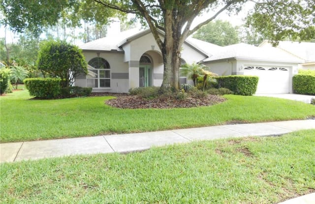 3833 SIENA LANE - 3833 Siena Lane, East Lake, FL 34685