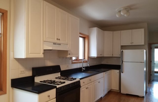 1315 North Wolcott Avenue - 1315 North Wolcott Avenue, Chicago, IL 60622
