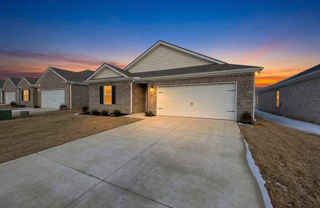 3 bed 2 bath new construction by DR Horton photos photos