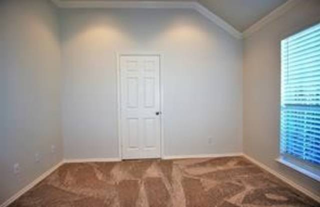 9915 Knoll Trace Way Gallery 4