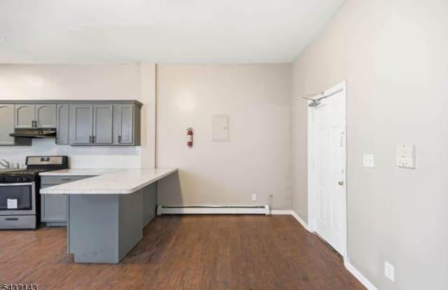 169 Mount Prospect Ave Gallery 4