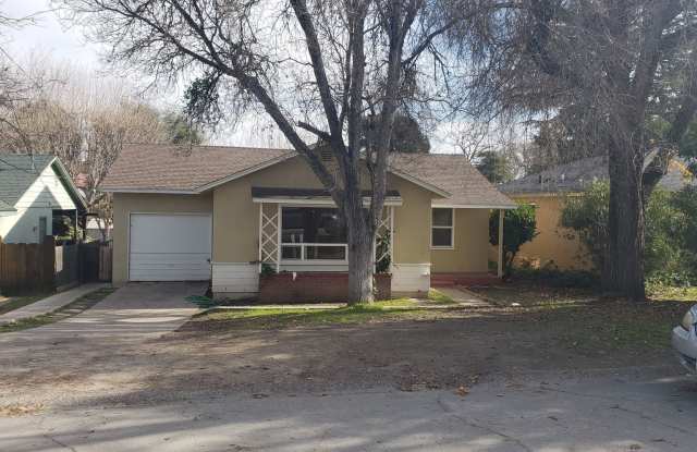 Oak, 3110 photos photos