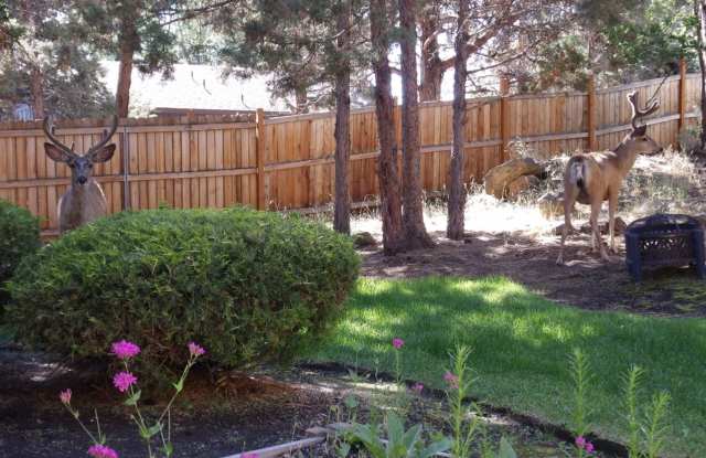 1133 NE Hidden Valley Drive # A-D photos photos