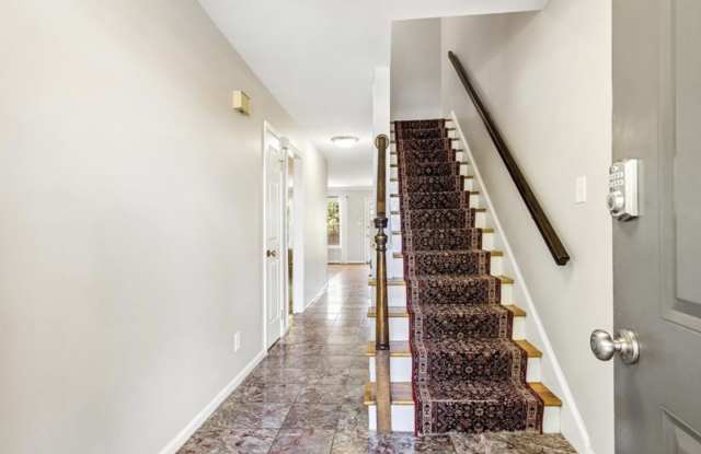 305 Shirley Avenue Gallery 3