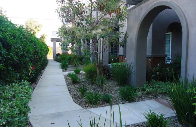 916 Jamacha Road Gallery 3