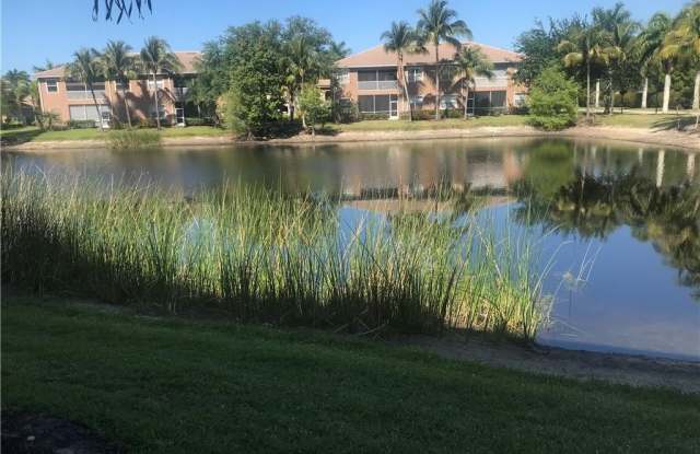 9601 Spanish Moss photos photos
