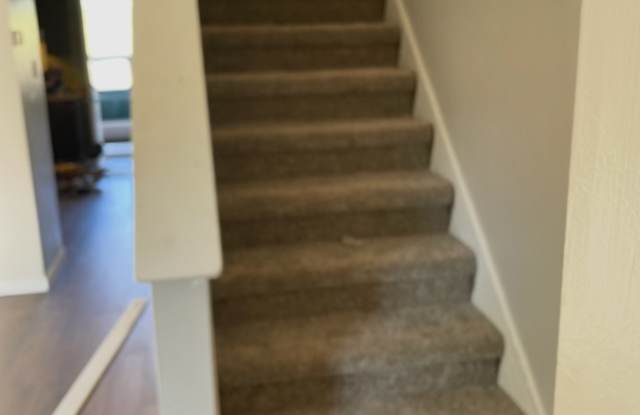6 Buckingham Pl., - 1 Gallery 2
