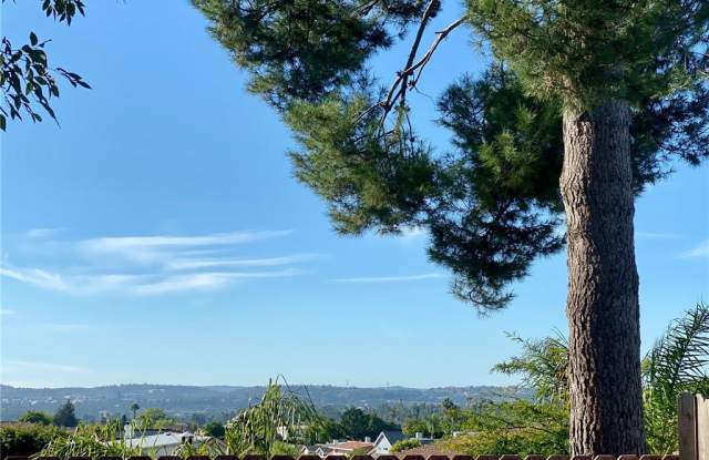 25181 Mackenzie Street - 25181 Mackenzie Street, Laguna Hills, CA 92653
