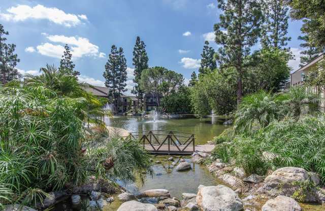 The Lake photos photos