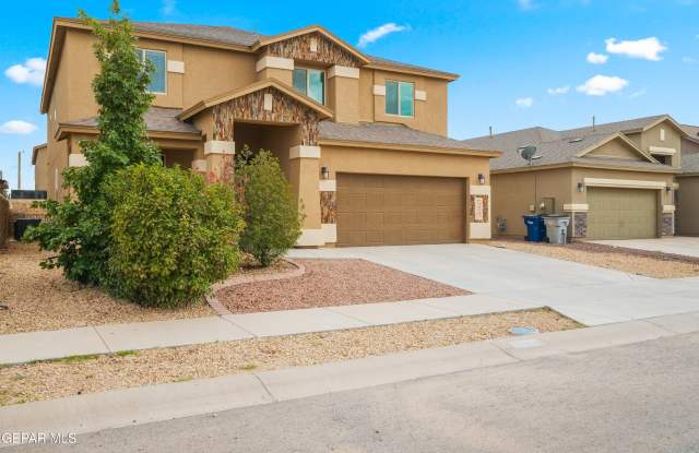 14940 TIM HARDAWAY Gallery 2