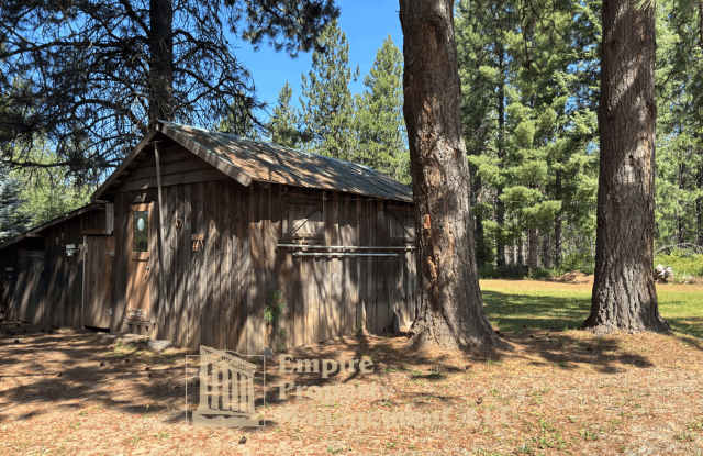 10239 Baldy Mountain Road Gallery 4