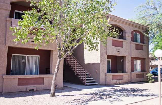 Desert Palms Gallery 3