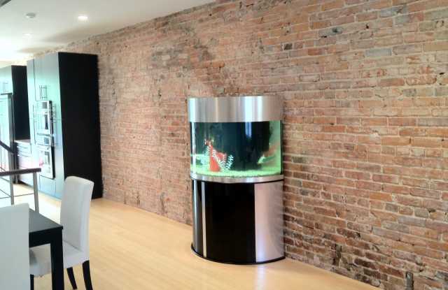 1716 V STREET NW Gallery 4