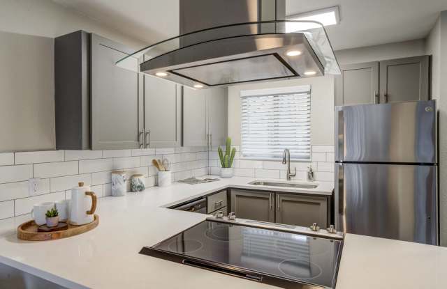 Milo at Mountain Park photos photos