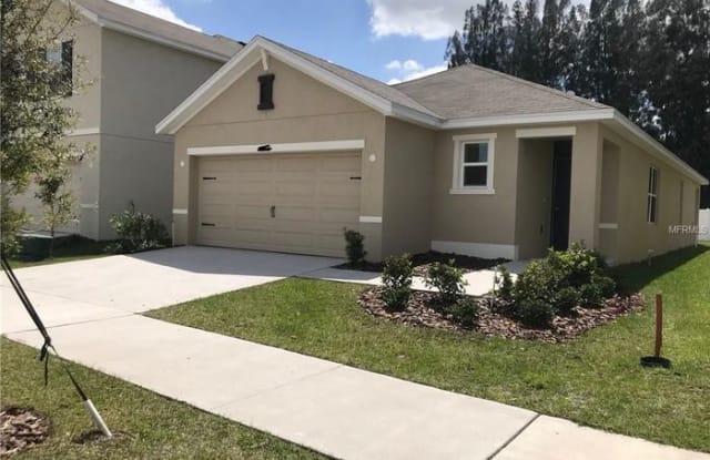 10131 Geese Trail Circle - 10131 Geese Trail Circle, Sun City Center, FL 33573