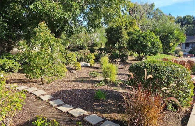 25451 Del Cobre Gallery 3
