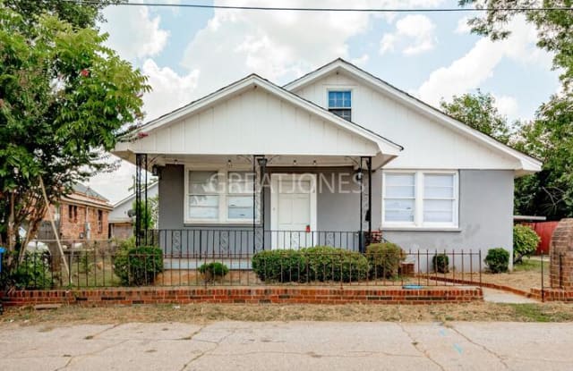 12 Chaney Street - 12 Chaney Street, Greenville, SC 29607