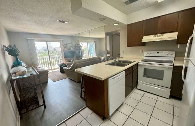 1B/1B  Furnished Condo Across the Street from the Gulf of America! photos photos