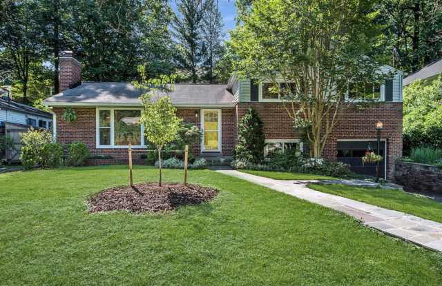 3 Bed 2.5 Bath - Silver Spring Split Level - Steps from Sligo Creek Gallery 1