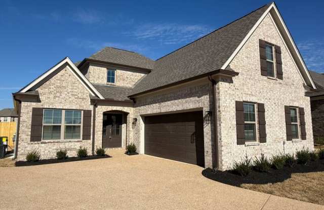 9674 Ryder Springs Dr photos photos