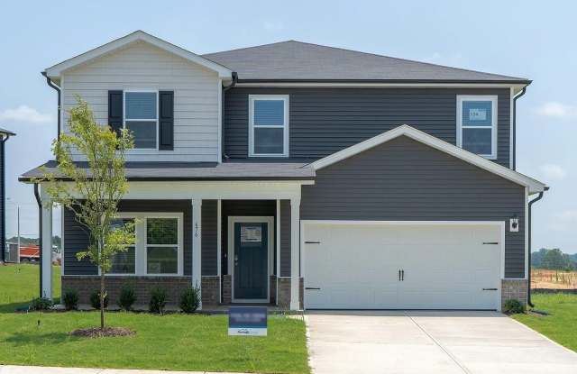 676 White Birch Lane - 676 White Birch Lane, Harnett County, NC 27501