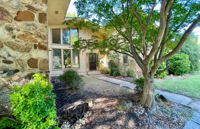 Large 3 bed / 2 bath Available Now! photos photos