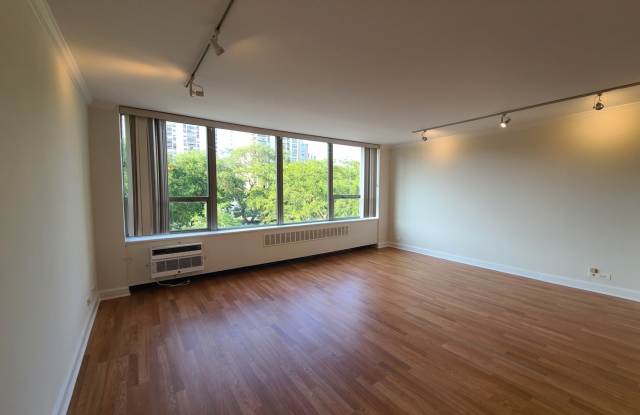 1360 N Sandburg Terrace Gallery 2