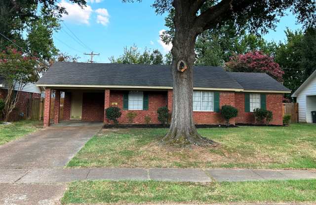 Charming Freshly Painted 3 BR / 1.5 BA Home in East Memphis – Near Sea Isle Park Gallery 4